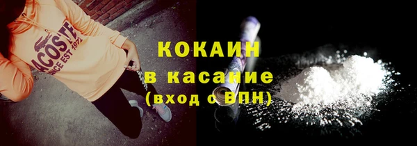 молекула духа Арсеньев